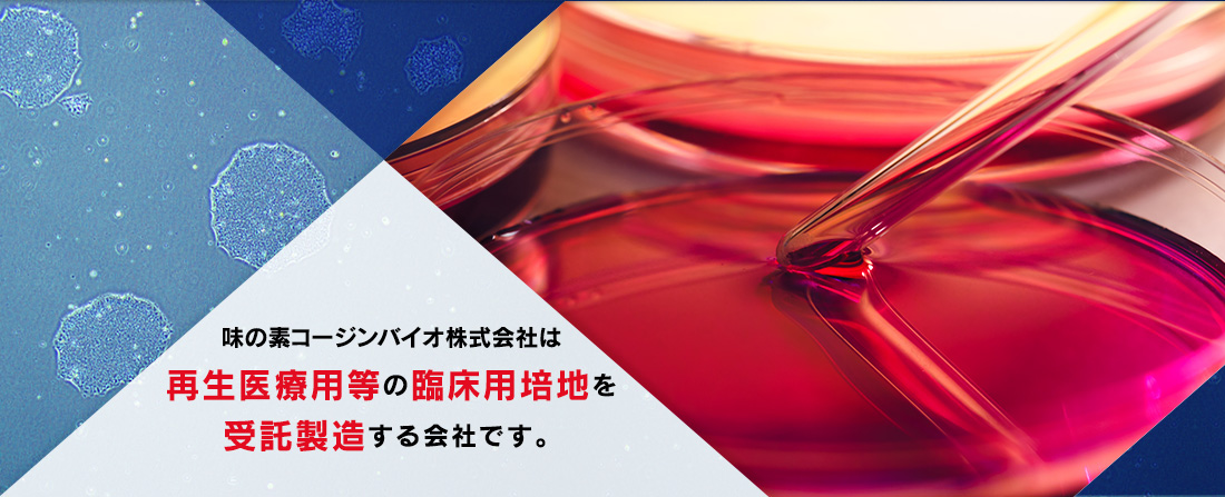 味の素コージンバイオ株式会社は再生医療用等の臨床用培地を受託製造する会社です。