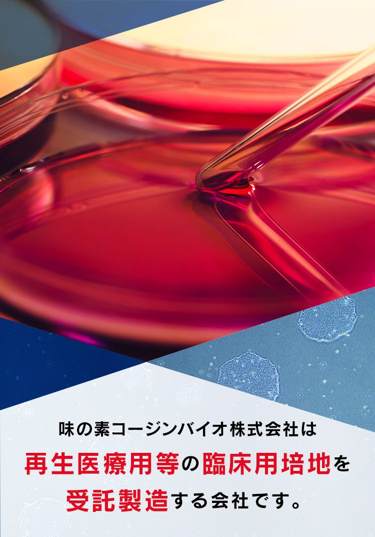 味の素コージンバイオ株式会社は再生医療用等の臨床用培地を受託製造する会社です。