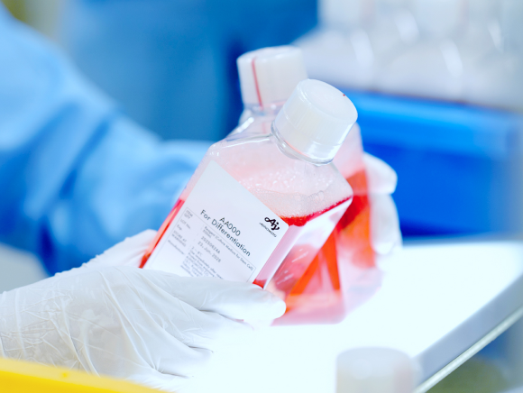 徹底した品質管理